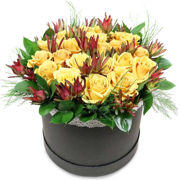 A chic, dark hatbox filled with golden yellow roses and deep red leucadendron is shown in crisp detail, as if it has just been hand-delivered to an apartment overlooking Whitechapel High Street. The arrangement is domed and full, with roughly two dozen roses clustered tightly together, every bloom at the peak of perfection. Their petals are a rich, buttery yellow that deepens toward the centre, forming gentle, spiralling rosettes that suggest both joy and comfort. Between these sunny blossoms, tall, tapered stems of Safari Sunset leucadendron rise like flickering flames, their pointed bracts shaded in tones of burgundy, rust, and dark cherry, transitioning into muted green near the stems. This interplay of smooth, rounded roses against the more angular, sculptural leucadendron creates a subtle drama, as though the bouquet is both refined and slightly untamed. Surrounding the flowers, glossy dark green leaves frame the design, their surfaces catching soft, reflected light, while feathery hints of fine, pale green foliage whisper out over the rim, adding lightness and texture. A delicate band of white lace wraps around the top of the black hatbox, its tiny pattern just visible, lending an air of romantic detail that would feel at home in one of the converted warehouses near Brick Lane. The clean white background keeps the focus on the glowing yellows and deep reds, allowing the viewer to imagine the gentle fragrance of fresh roses filling a kitchen or studio. Crafted with the care of a local florist who knows the character of Whitechapel, this arrangement feels perfect for marking a promotion, lifting someone's spirits on a rainy East London afternoon, or adding a touch of modern elegance to a small city gathering.