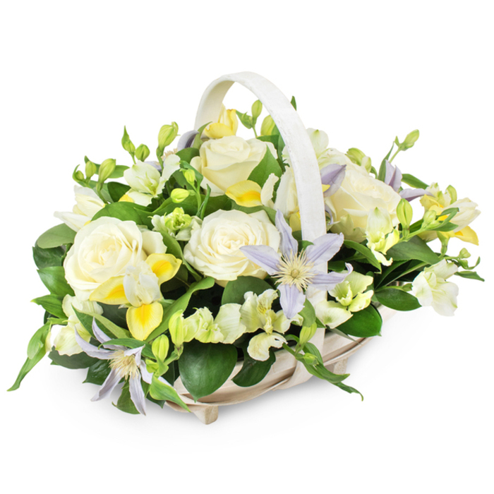 In this photograph, a tranquil funeral flower basket is showcased against a pure white background, allowing every nuance of the arrangement to stand out with quiet clarity. The basket itself is woven from pale, almost white fibres, with a smooth handle that rises in a soft curve over the blooms, reminiscent of traditional market baskets one might see near Whitechapel High Street in the early morning. Within it, the flowers form a full, domed composition in cool, comforting tones. At the heart of the design, several large creamy white roses are fully open, their petals like delicate folds of satin spiralling toward a calm centre, radiating a sense of peace and reverence. Scattered among the roses are distinctive clematis blooms, star-shaped and light lavender, each with a bright yellow-green eye that adds a touch of gentle brightness without disturbing the overall softness. Around these focal flowers, clusters of small white and soft yellow freesia-like blossoms appear, some tightly closed, others just beginning to unfurl, suggesting the passage of time and the continuity of life. Wisps of ruffled white flowers, likely lisianthus or a similar variety, lend a feathery border to the arrangement. The lush bed of foliage-deep green, glossy leaves balanced by lighter, fresher sprigs-cradles the flowers and gives the basket a grounded, natural look. The overall mood is one of tenderness and solace, perfectly suited for sending a thoughtful condolence arrangement within Whitechapel, whether to a family home, a funeral parlour, or a place of quiet reflection where memories can be honoured with grace.